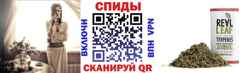 Купить закладки  Льгов  Бутират бутик 