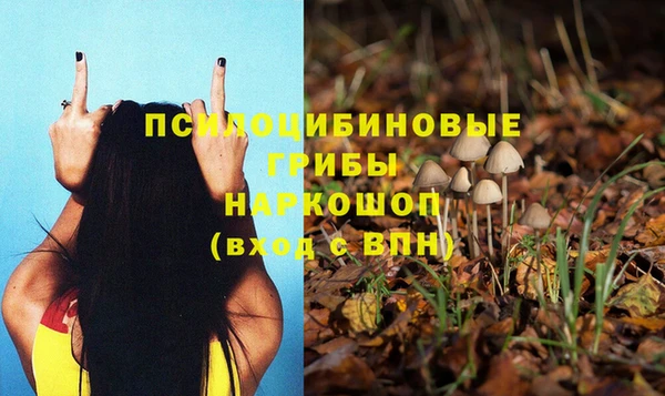 прущая мука Богданович