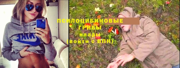 прущая мука Богданович