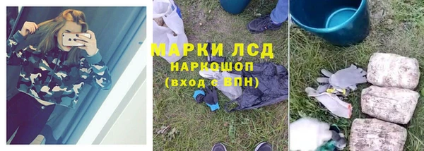 индика Чекалин