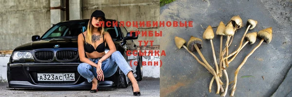 спиды Богородск