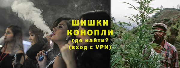 спиды Богородск