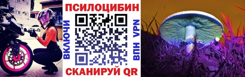 Галлюциногенные грибы GOLDEN TEACHER  Купить  Льгов 