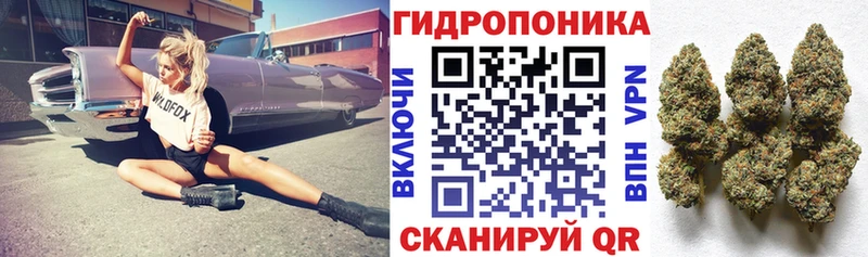 Конопля Bruce Banner  Купить  Льгов 